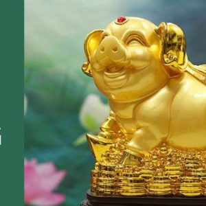 1983 hợp hướng nào