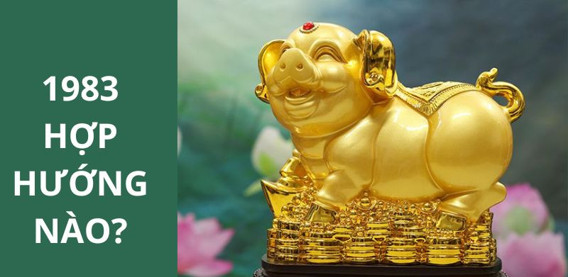 1983 hợp hướng nào