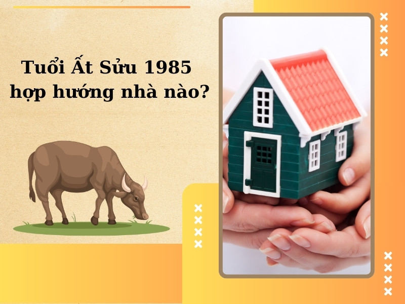 1985 hợp hướng nhà nào