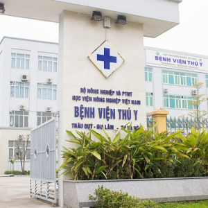 Bệnh viện Thú Y