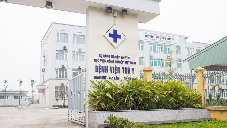 Bệnh viện Thú Y