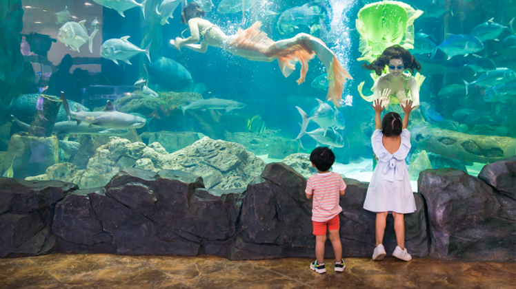 VinKE và Thủy cung Times City