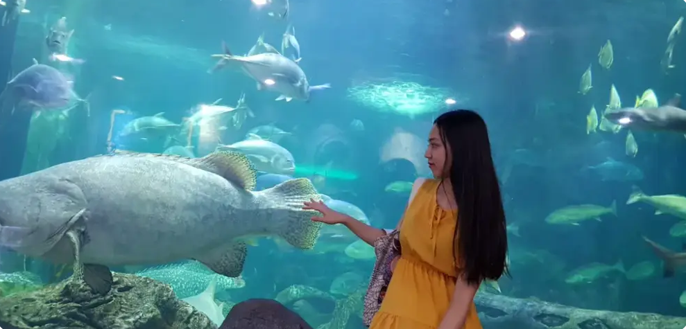 Vinpearl Aquarium Times City