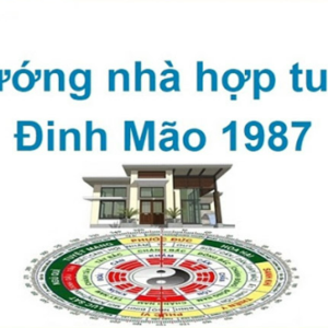 Tuổi Đinh Mão 1987 Hợp Hướng Nào