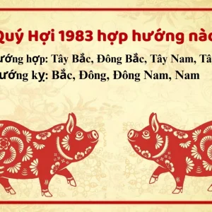 1983 hợp hướng nhà nào