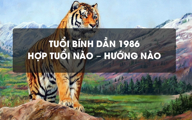 1986 hợp hướng nào