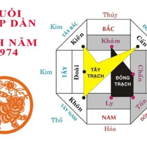 1974 hợp hướng nhà nào