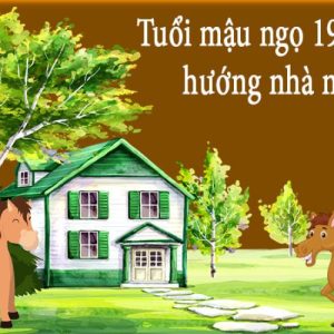 1978 hợp hướng nào