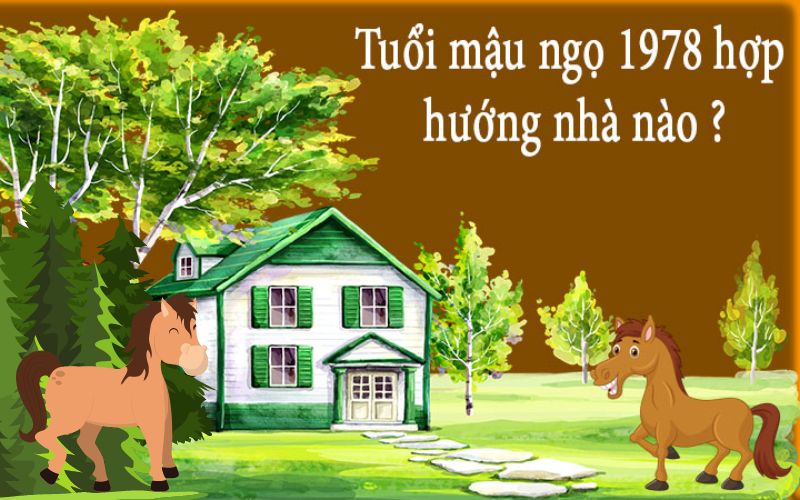 1978 hợp hướng nào