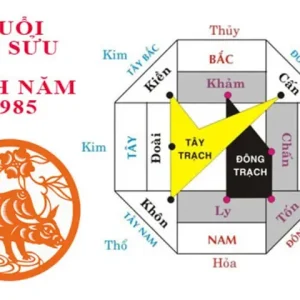 Tổng quan về người sinh năm 1985 Ất Sửu