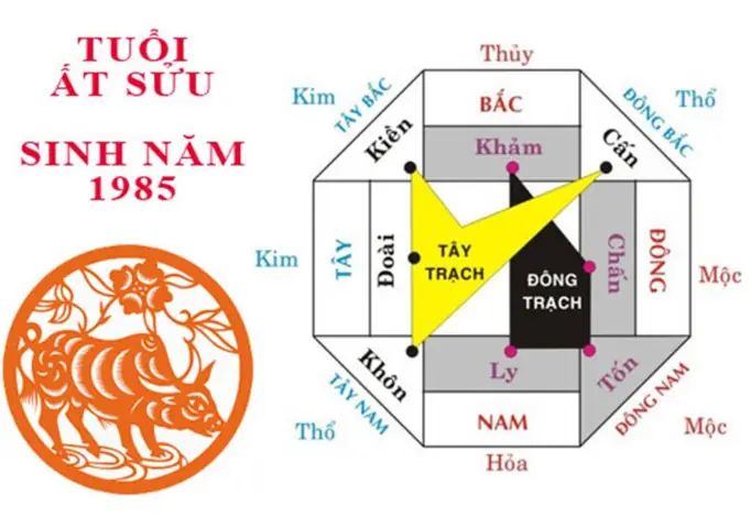 Tổng quan về người sinh năm 1985 Ất Sửu